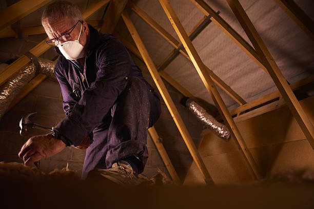 Best Insulation Installation Services in Lake St Croix Beach, MN